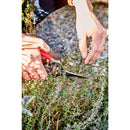 Thinning Shears-5