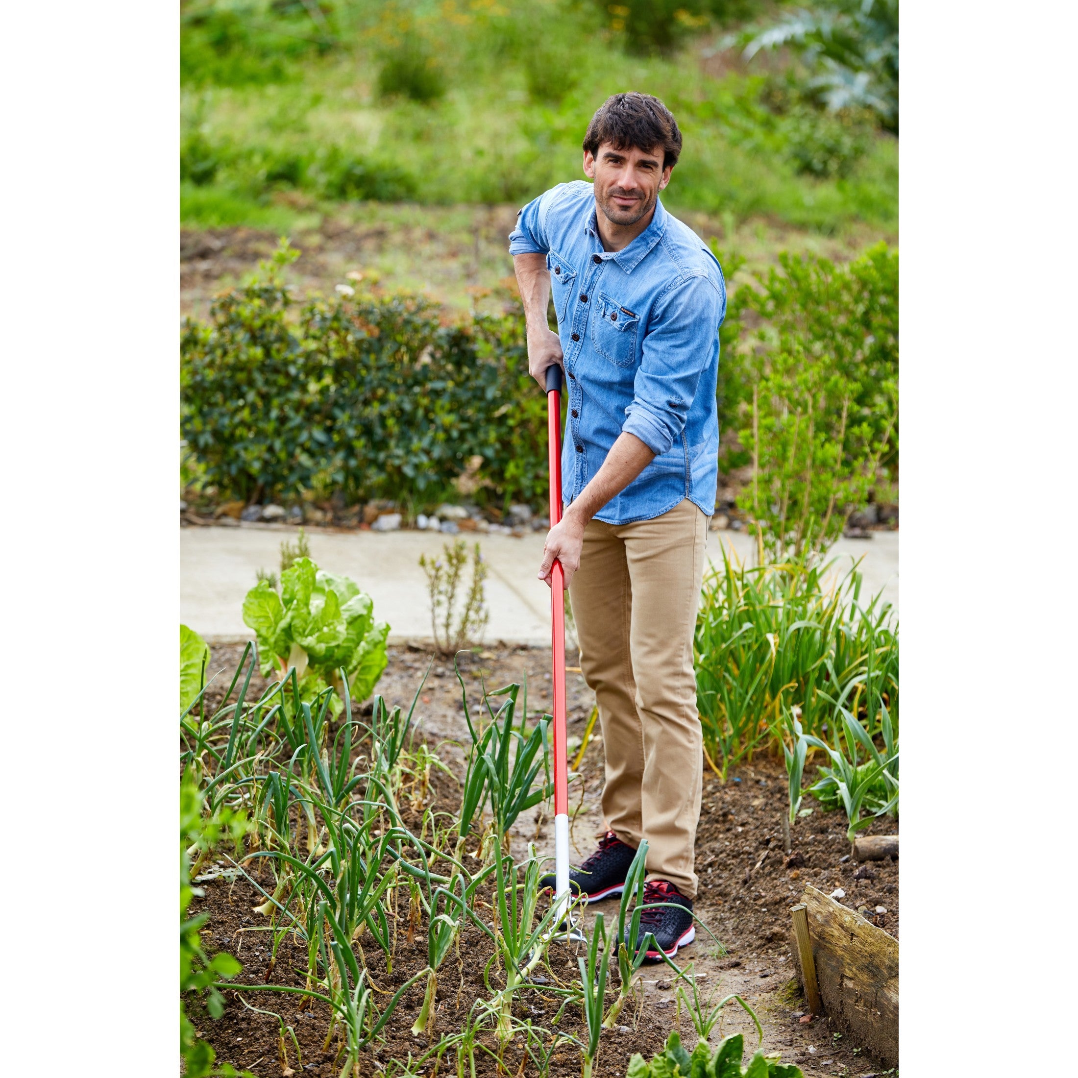 Oscillating Hoe, 6 in. Blade | Corona Clipper Inc.