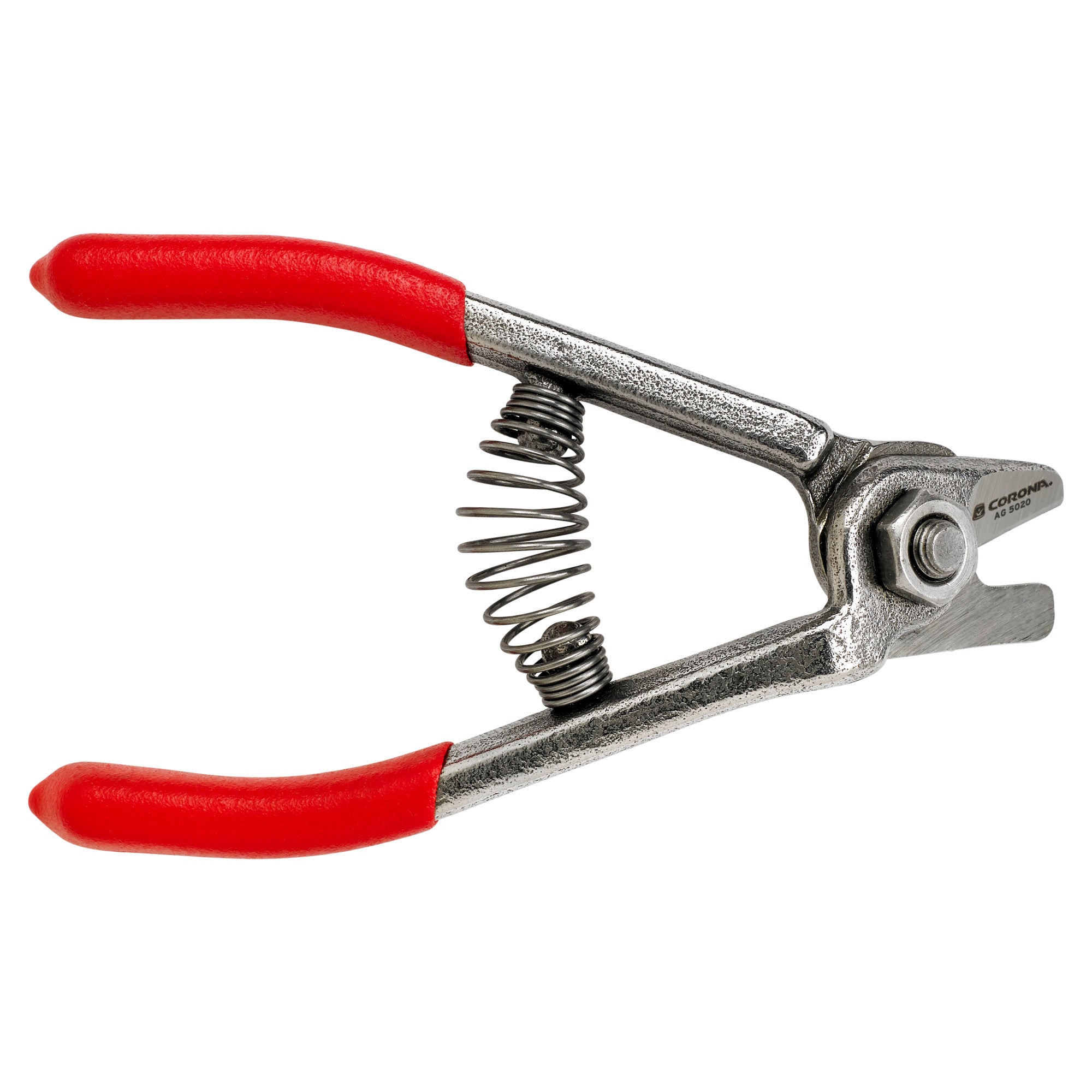 Citrus Shears