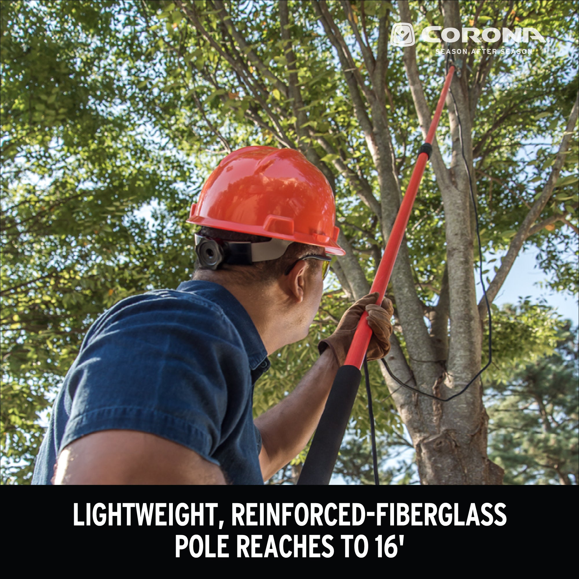 Professional Tree Pruner with RazorTOOTH Saw™ Blade, 16 ft. Pole