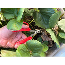 Hydroponic Scissors-6