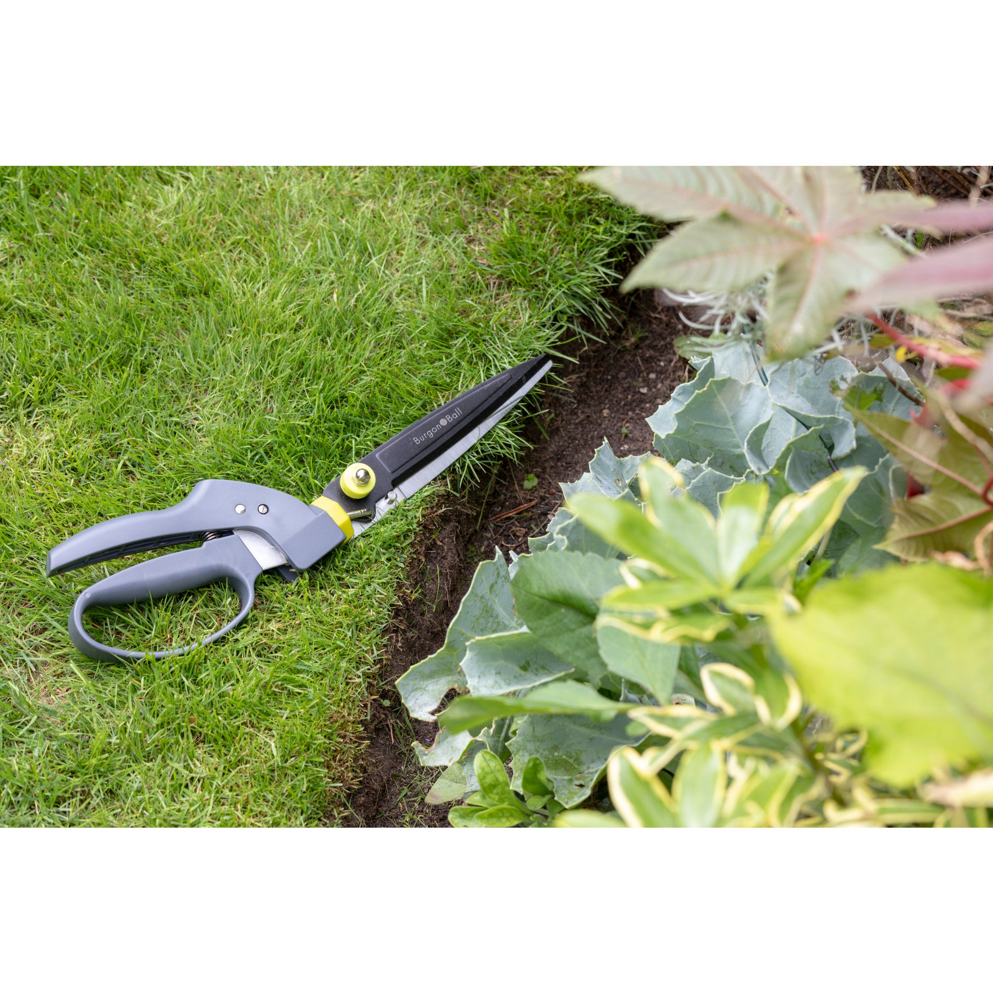 Swivel Grass Shears, RHS Endorsed