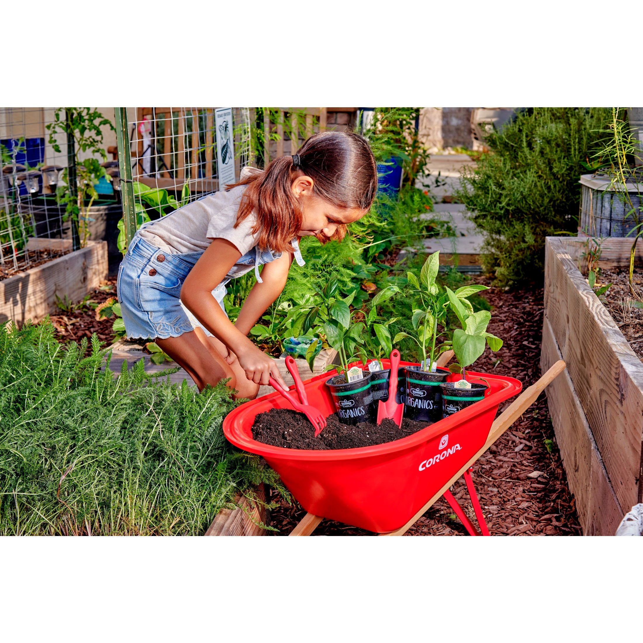 Kids Wheelbarrow