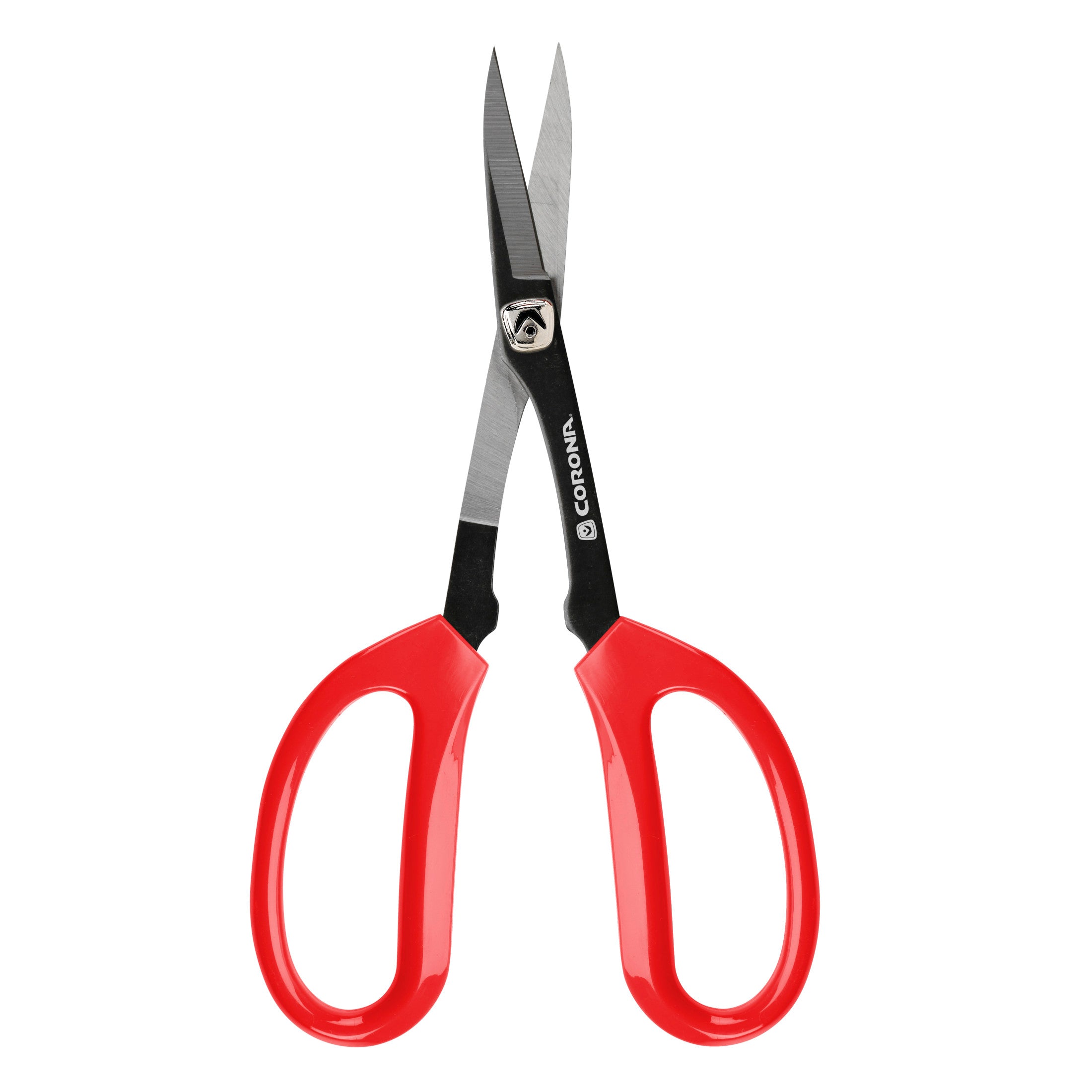 Precision Scissors