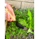 Classic Wooden Handle Weeder-3