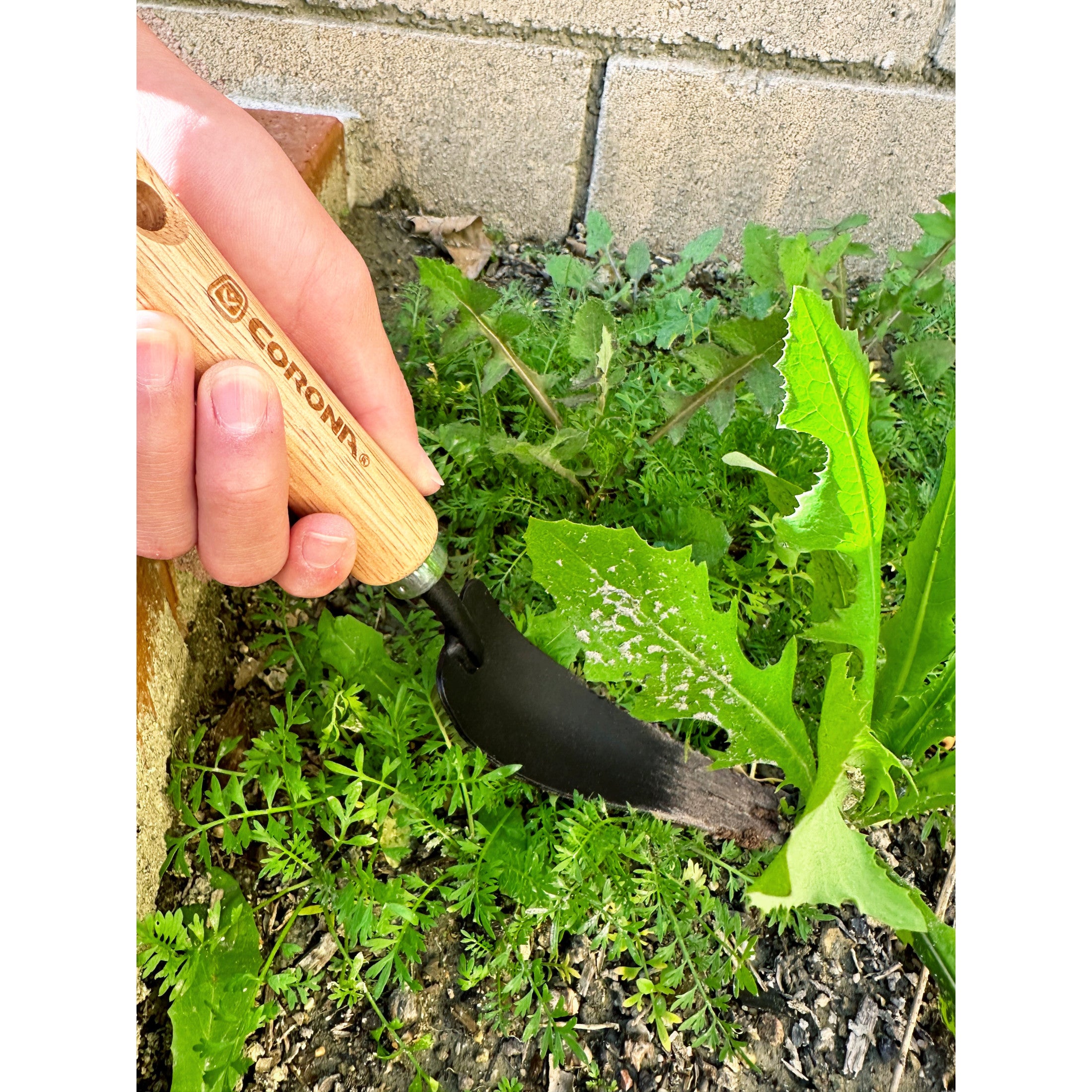 Classic Wooden Handle Weeder
