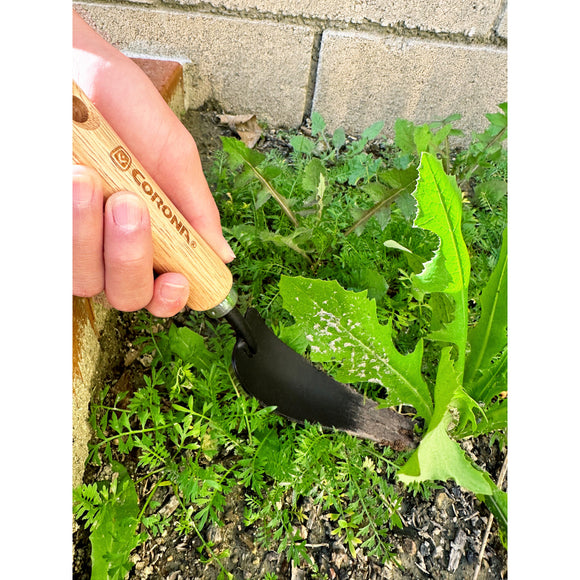 Classic Wooden Handle Weeder