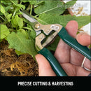 Flower & Fruit Snip, RHS Endorsed-11