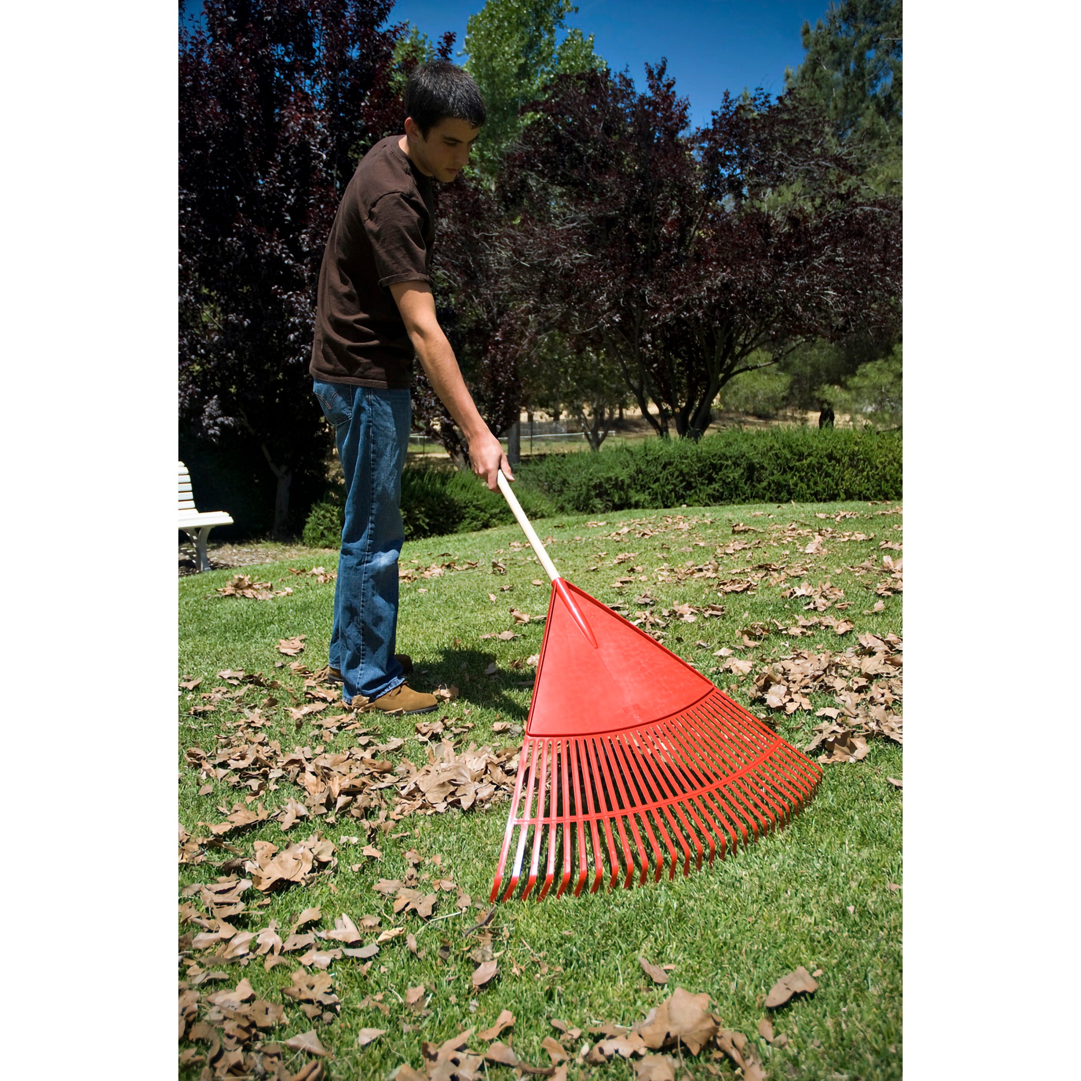 Wide Poly Leaf Rake, 30 in. Head, 30 Tines, Wood Handle