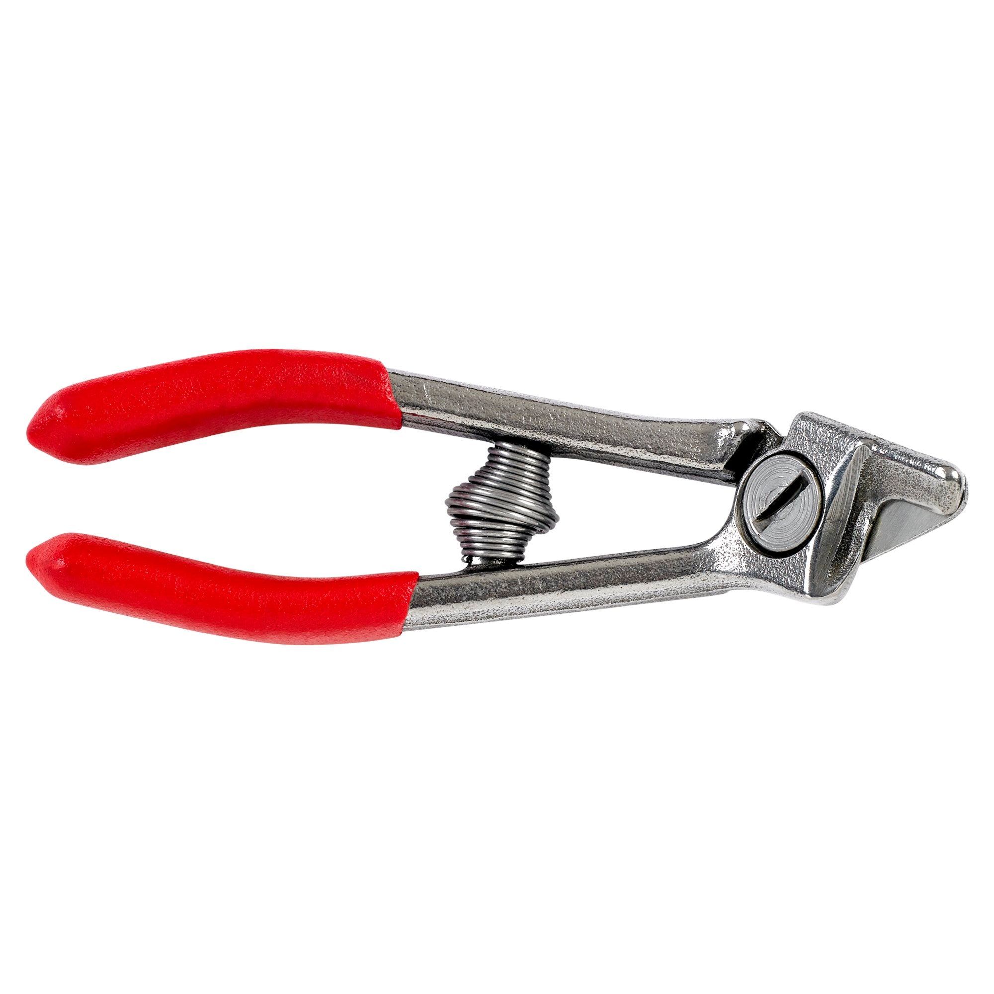 Citrus Shears