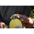 Citrus Shears-7