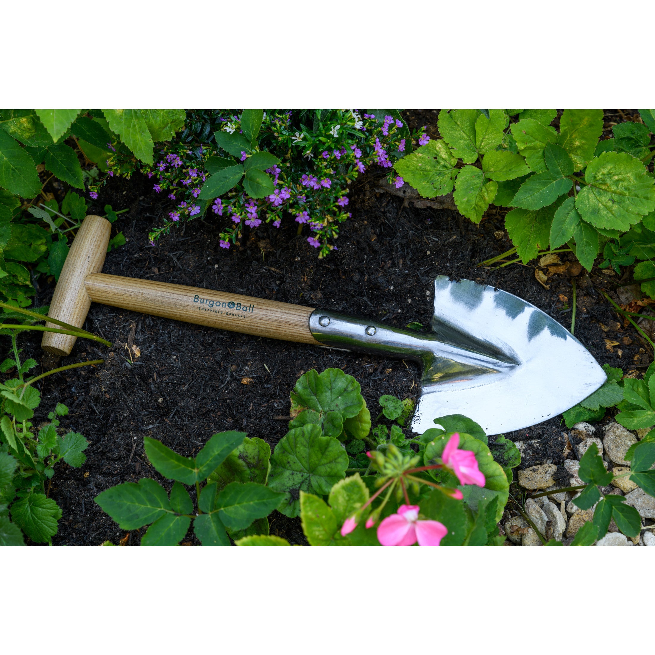 Stainless Steel Small Perennial Spade Shovel, Wood T-Grip Handle, RHS Endorsed