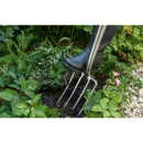 Stainless Steel Border Fork, Wood D-Grip Handle, RHS Endorsed-2