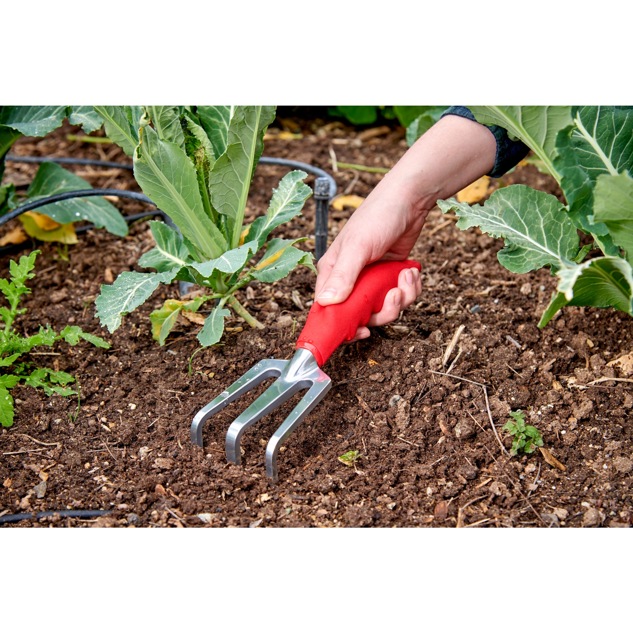 Cultivator