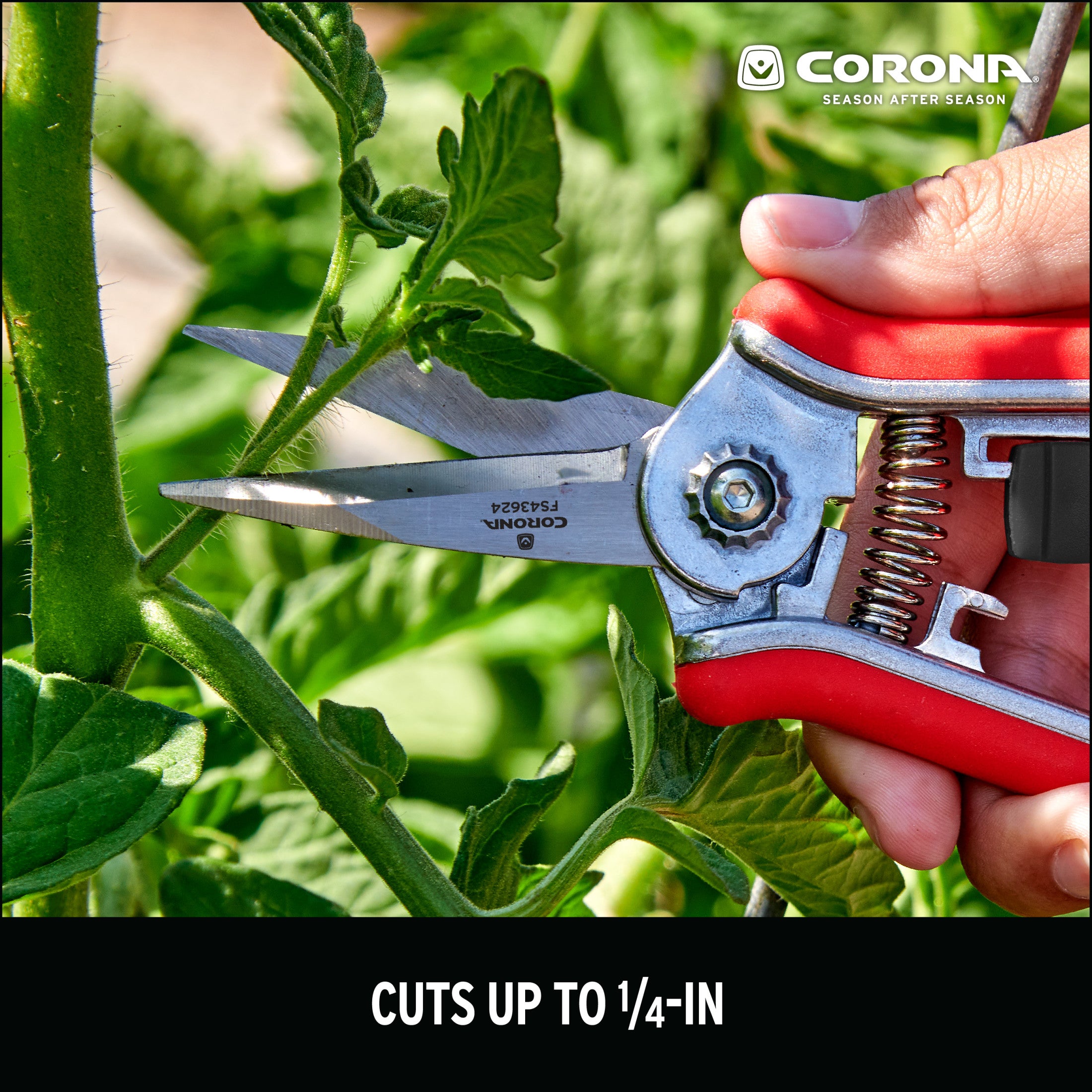 Yard Essentials Mini Floral Snips | Corona Clipper Inc.