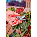 Yard Essentials Houseplant Pruners, Variety Pack-9