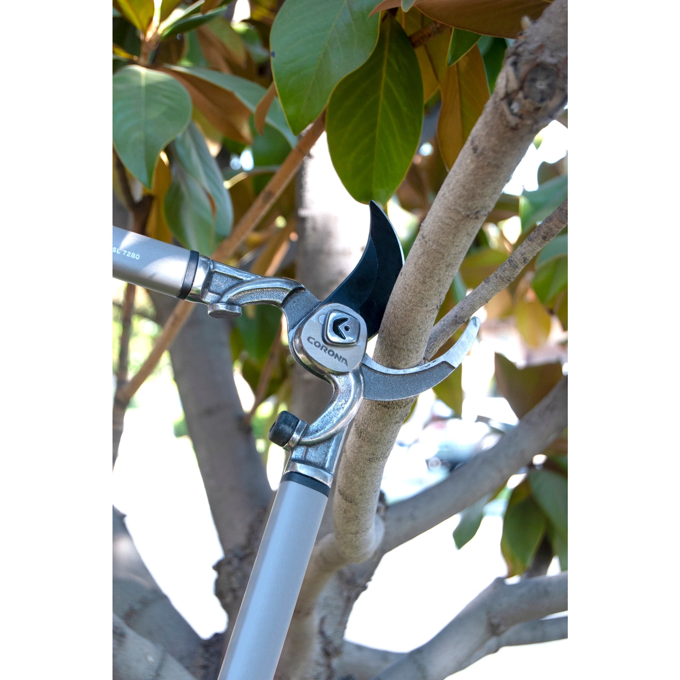 ノエルページ Corona DualLINK 23-in Steel Bypass Lopper SL14254D at Lowes.com