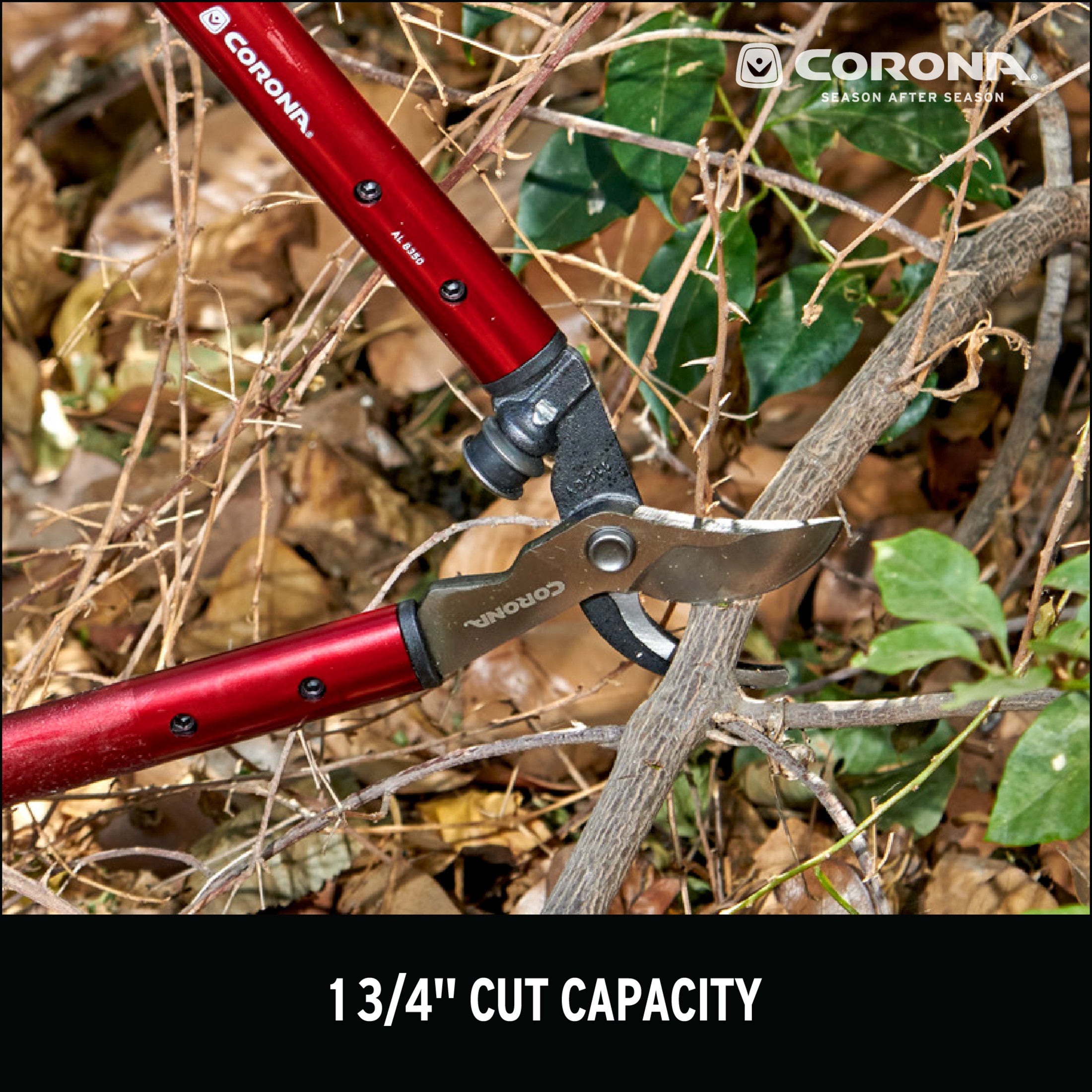 ClassicCUT® Bypass Lopper, 20 in., 1-1/4 in. Cut Capacity