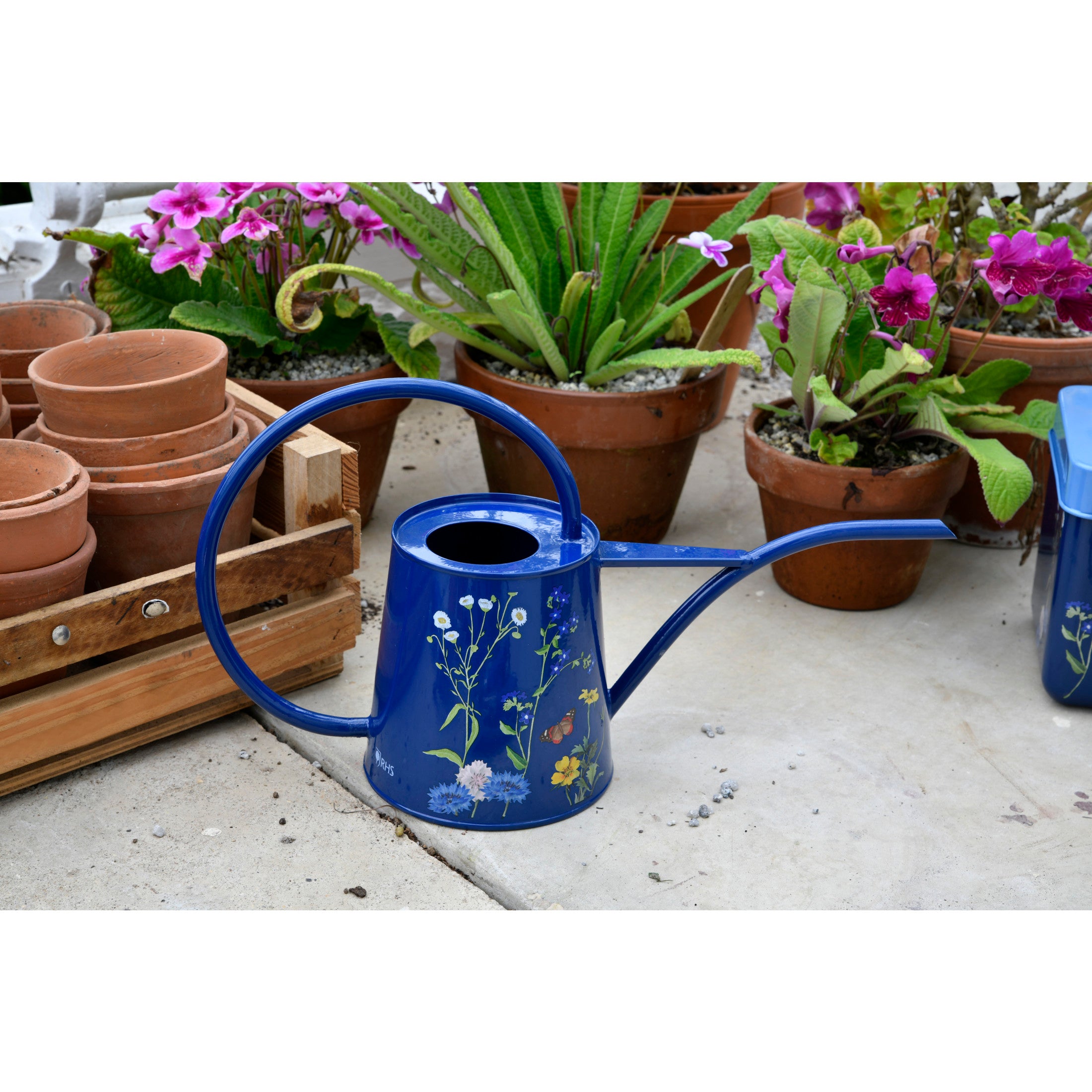 British Meadow Indoor Watering Can, RHS Endorsed