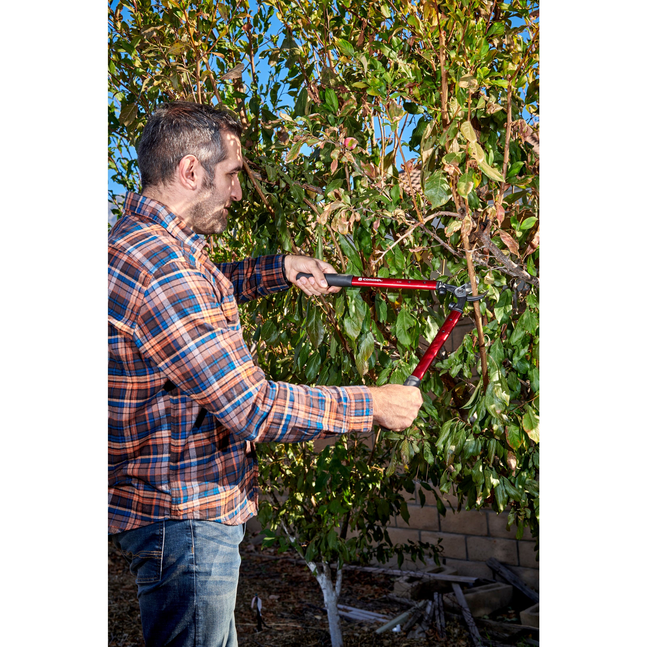 High-Performance Vine Lopper, 19 in. Handle, 1-1/4 in. Cut Capacity