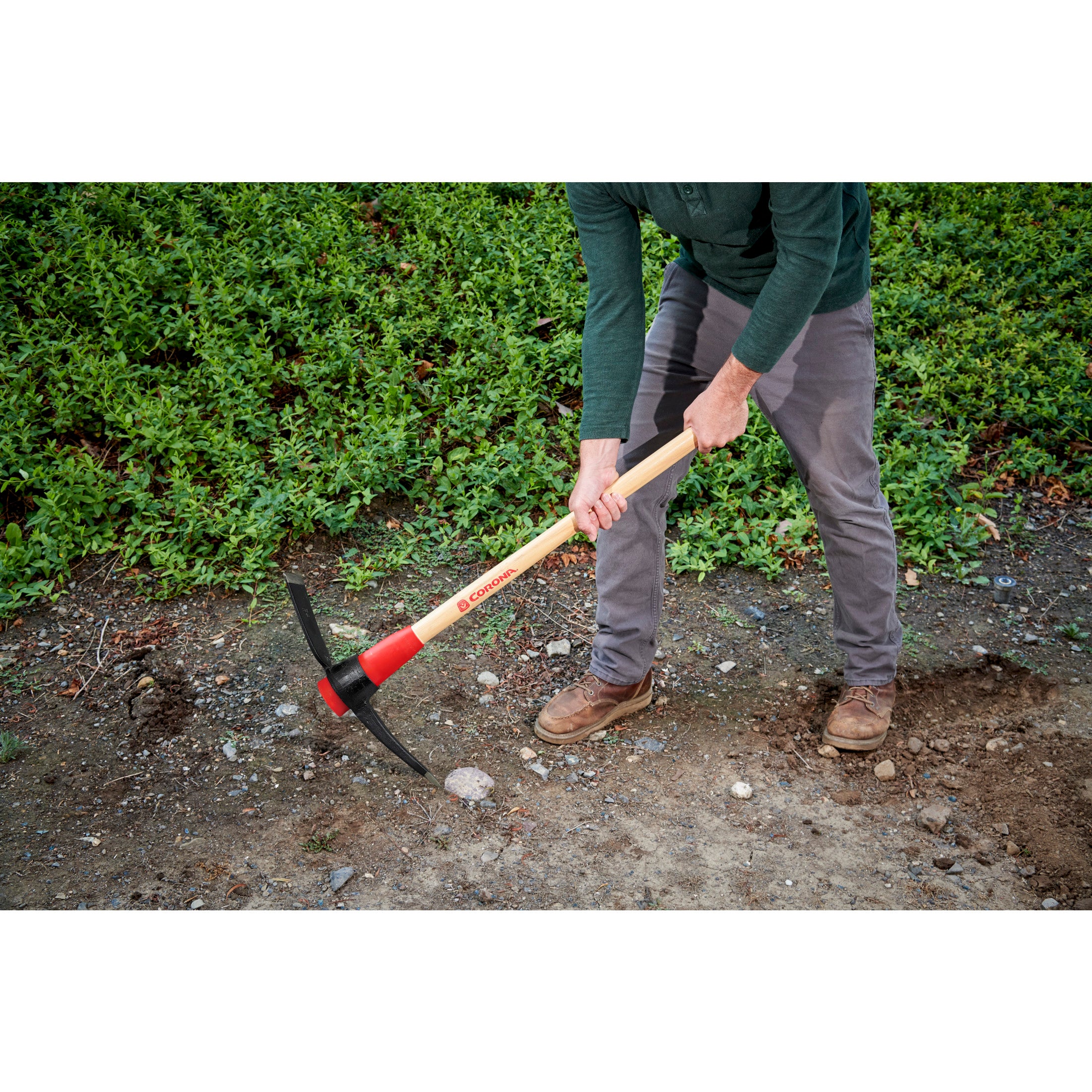 Pick Mattock, 36 in. Hickory Handle with Poly Guard