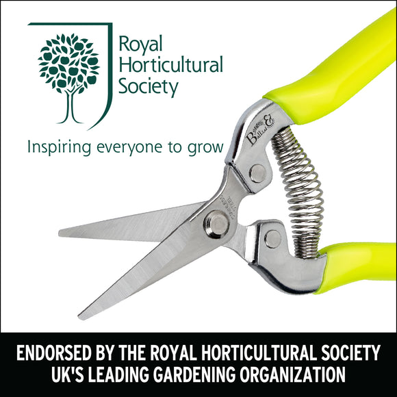 Florabrite™ Flower & Harvesting Snip, Neon Yellow, RHS Endorsed