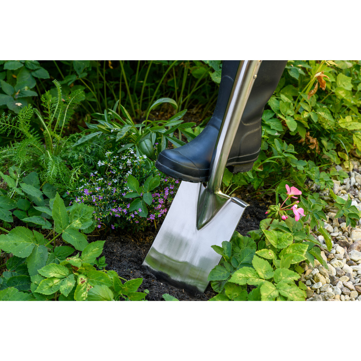 Stainless Steel Border Spade Shovel, Wood D-Grip Handle, RHS Endorsed ...