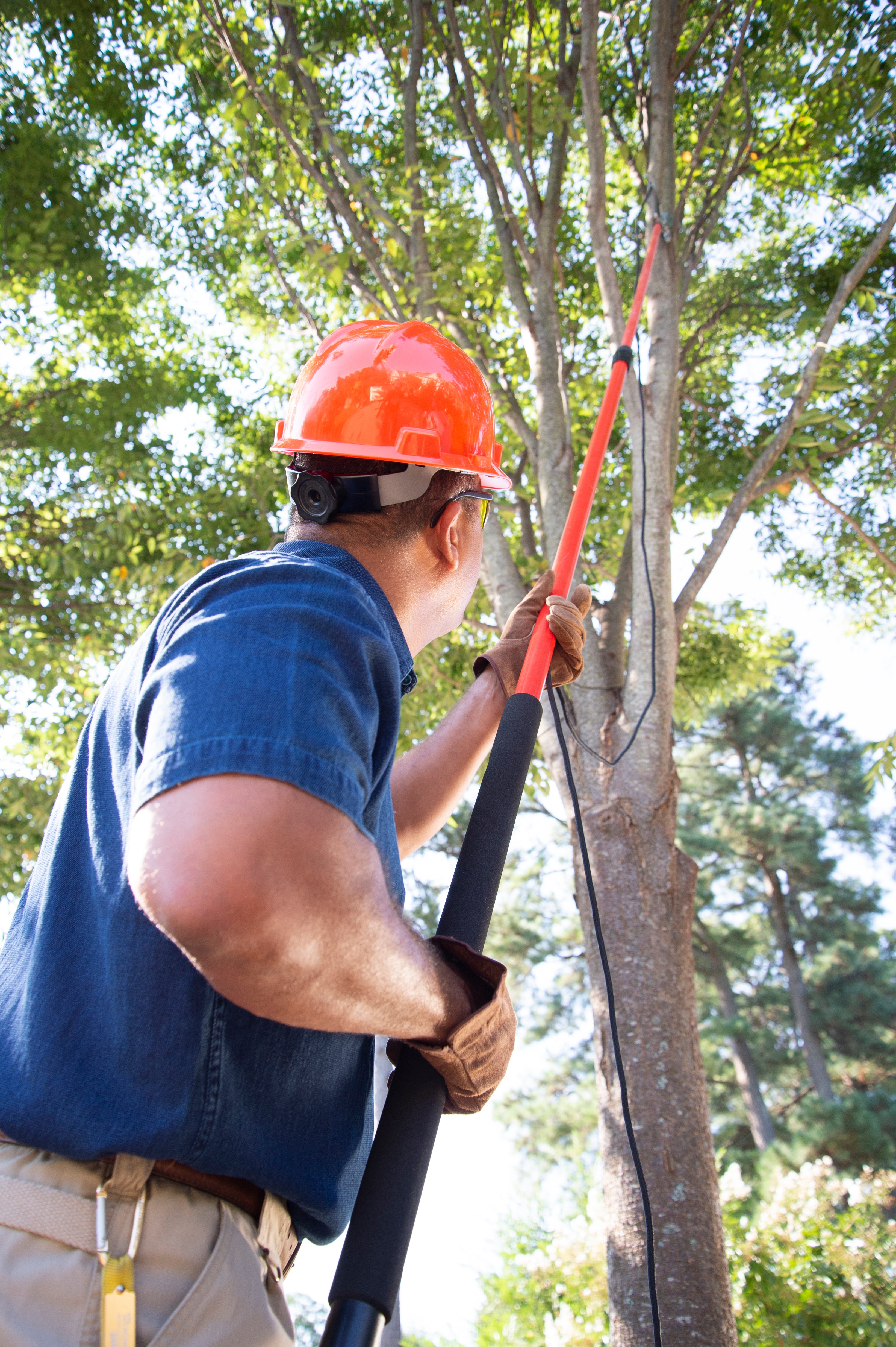 Professional Tree Pruner with RazorTOOTH Saw™ Blade, 16 ft. Pole