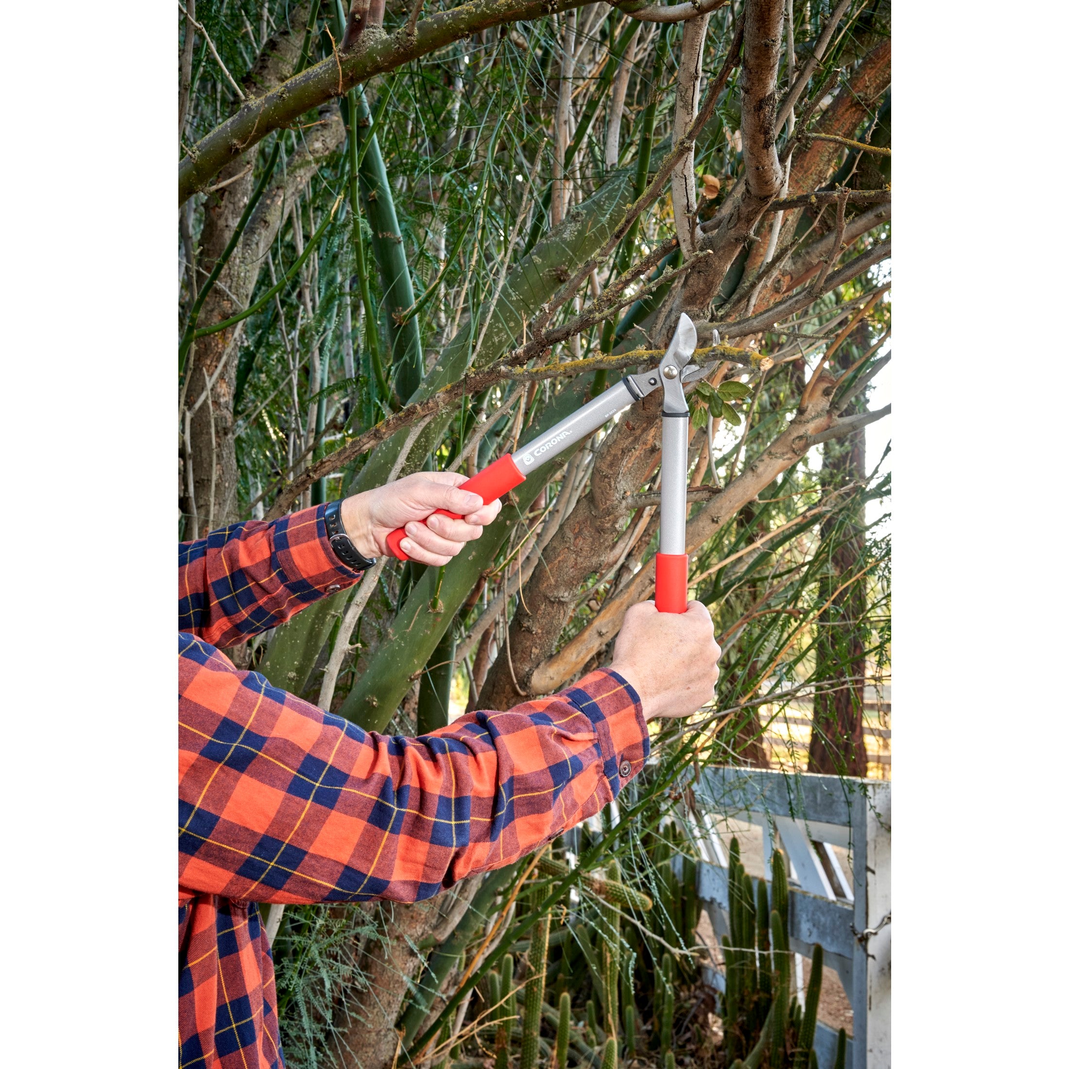 ClassicCUT® 15 in. Pruner/Lopper, 3/4 in. Cut Capacity | Corona