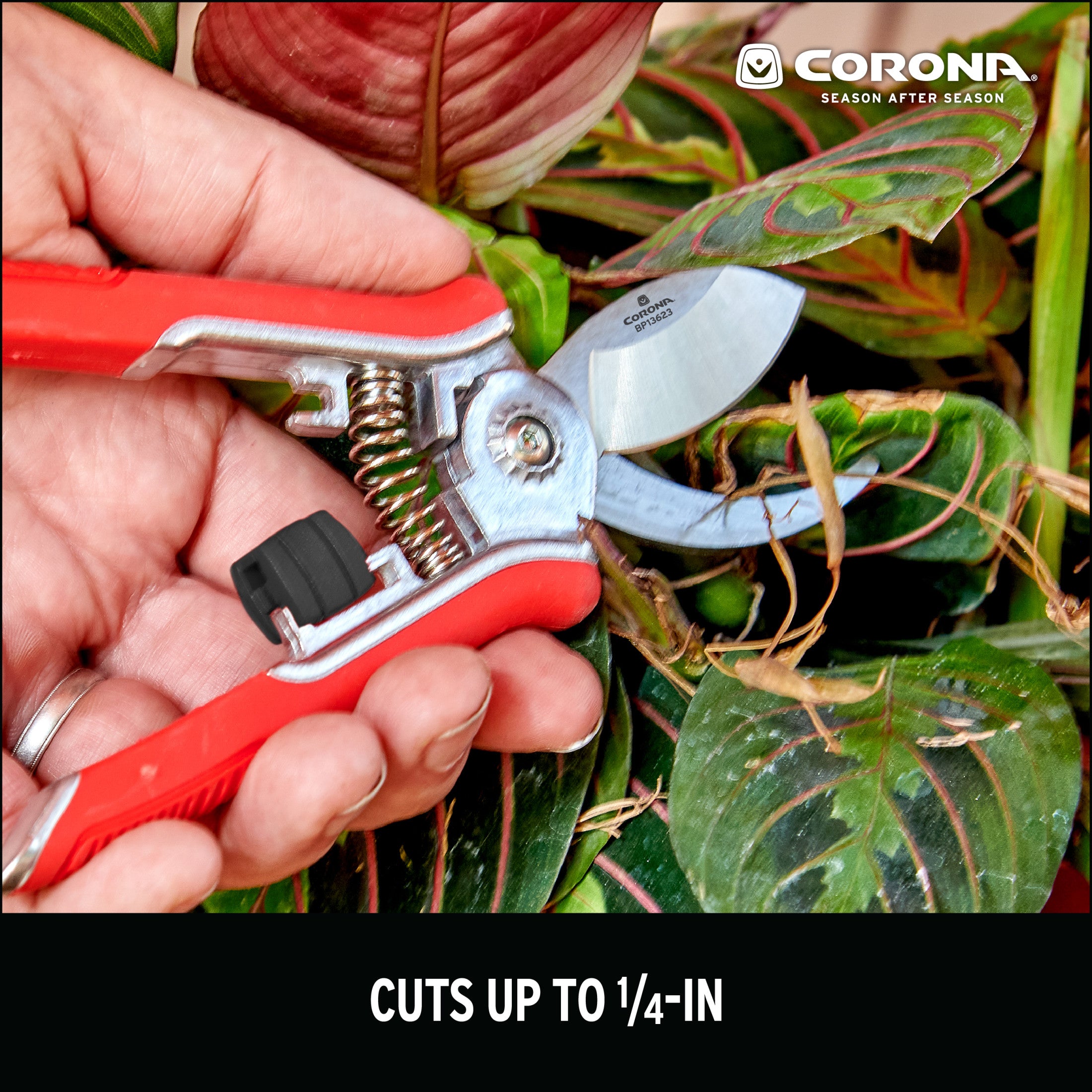 Yard Essentials Houseplant Pruners, Red | Corona Clipper Inc.
