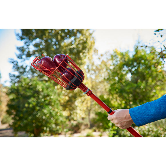 Extendable Fruit Picker, 12 ft.