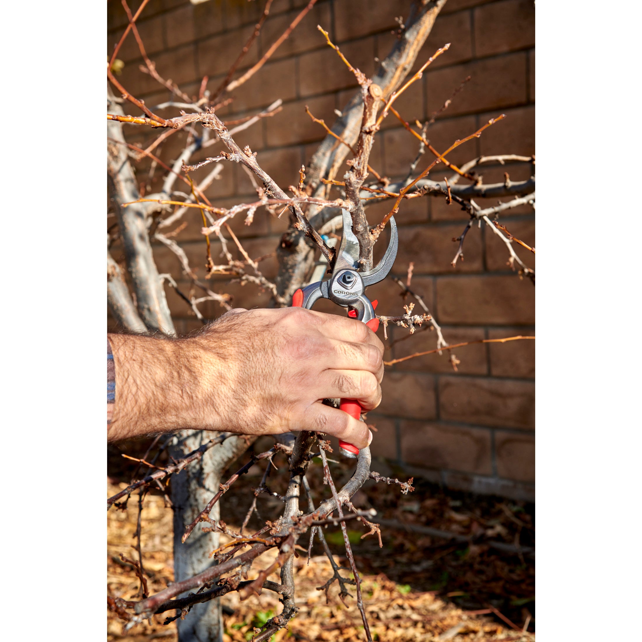 DualCUT Branch & Stem Pruner, 1 in. Cut Capacity