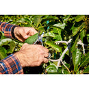 Avocado Shears-7