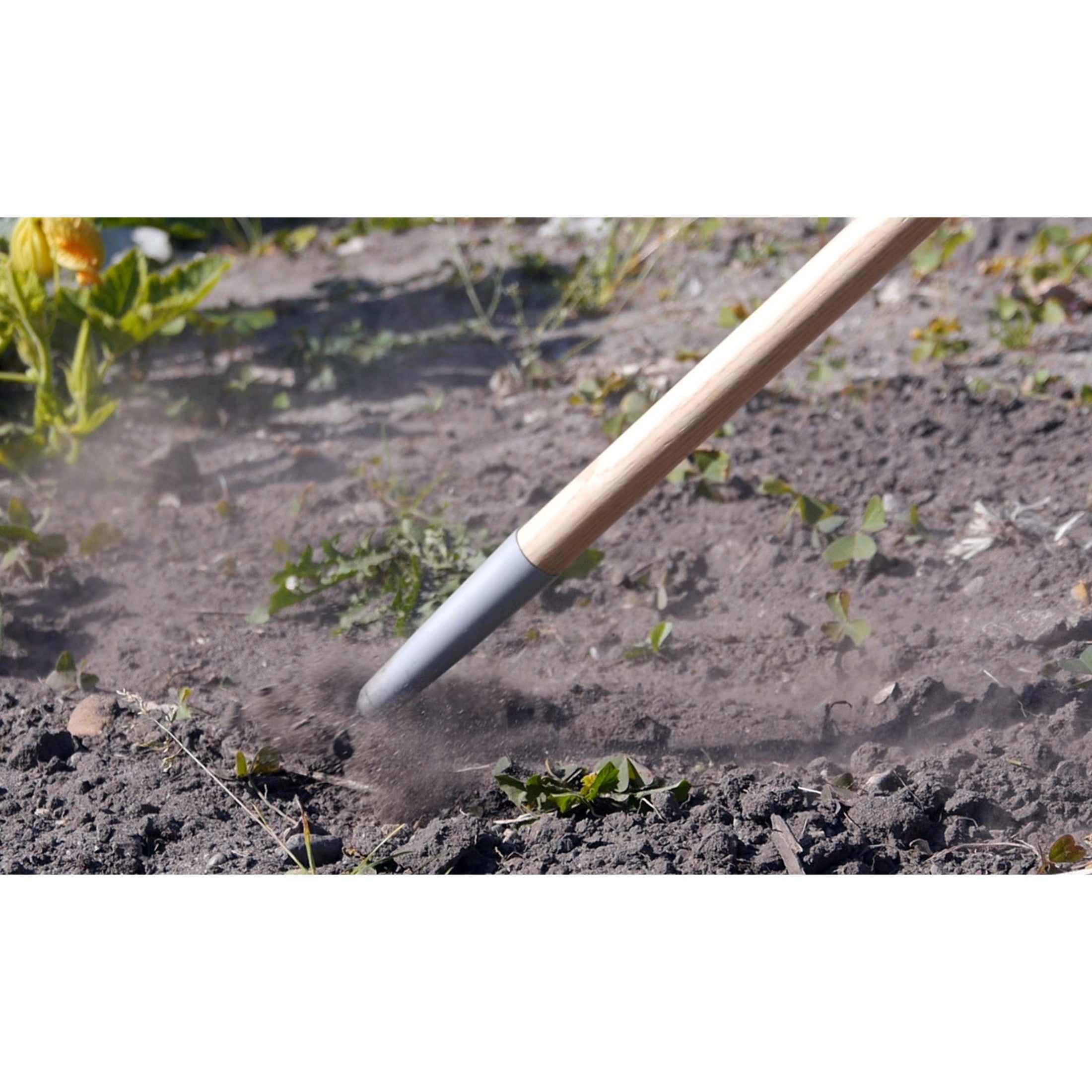 Weed Slice, 50 in. Wood Handle