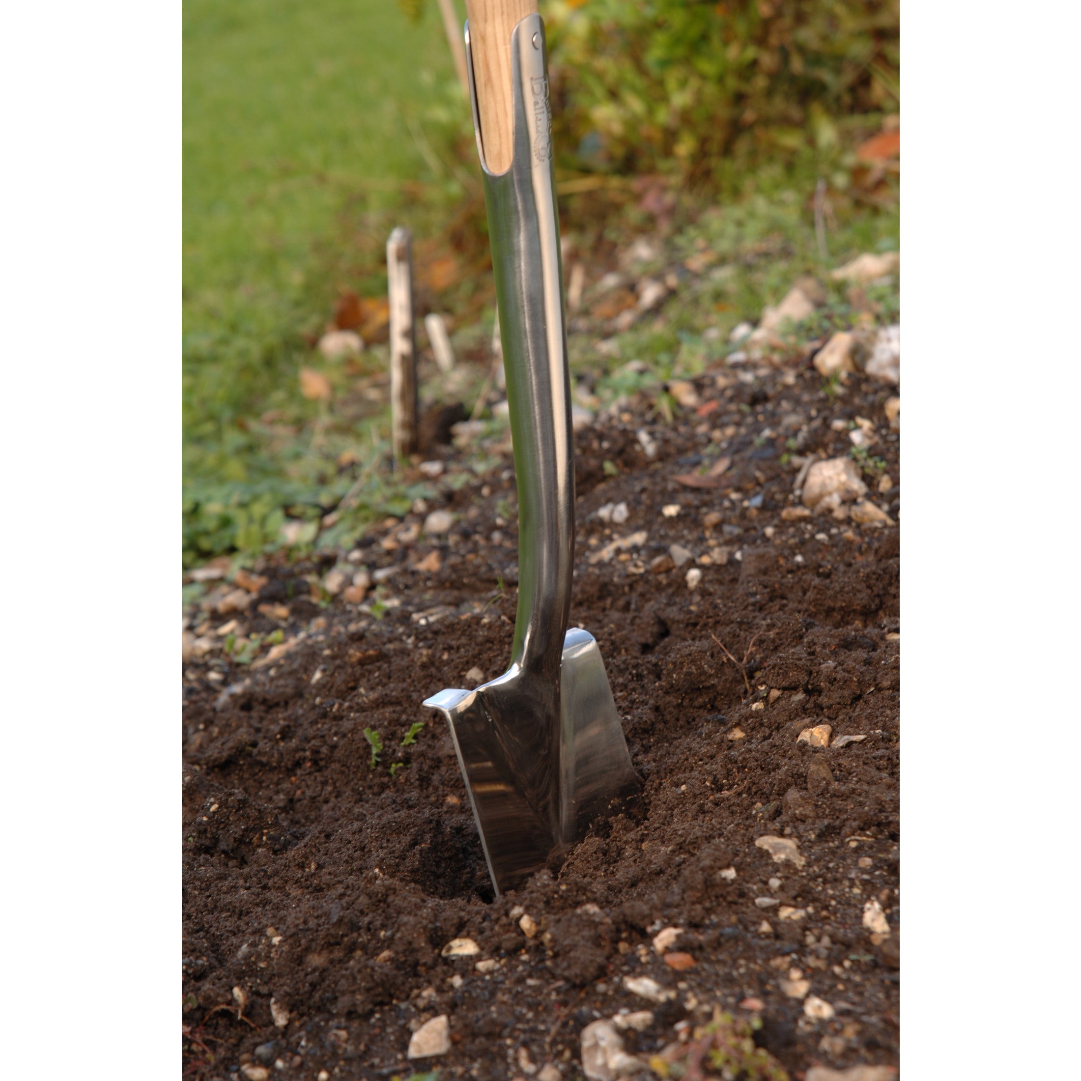 Stainless Steel Border Spade Shovel, Wood D-Grip Handle, RHS Endorsed