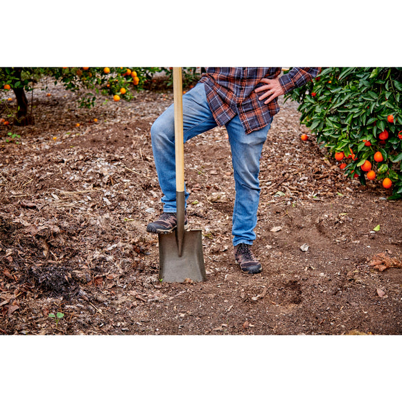 Square Point Shovel, 16-Gauge, 43 in. Wood Handle
