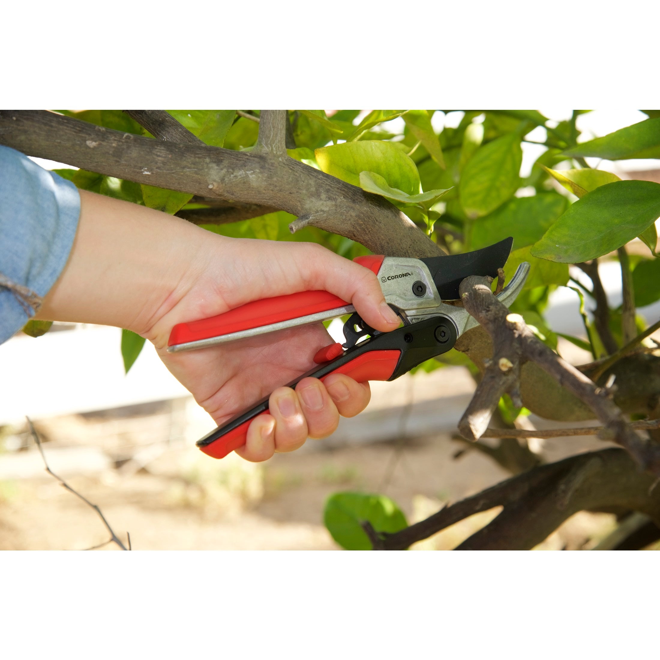 RatchetCUT Bypass Pruner, 3/4 in. Cut Capacity