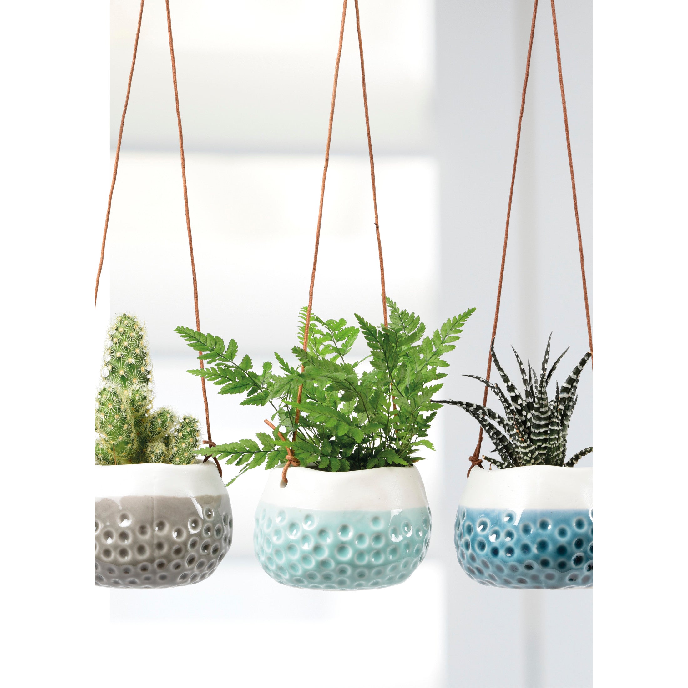 Hanging Baby Dotty Trio Vases