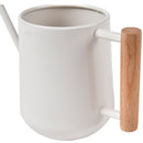Indoor Watering Can, Stone-2