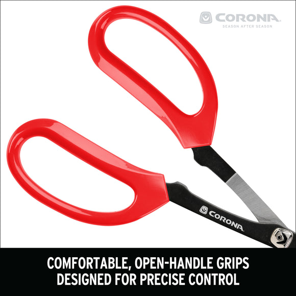 Precision Scissors