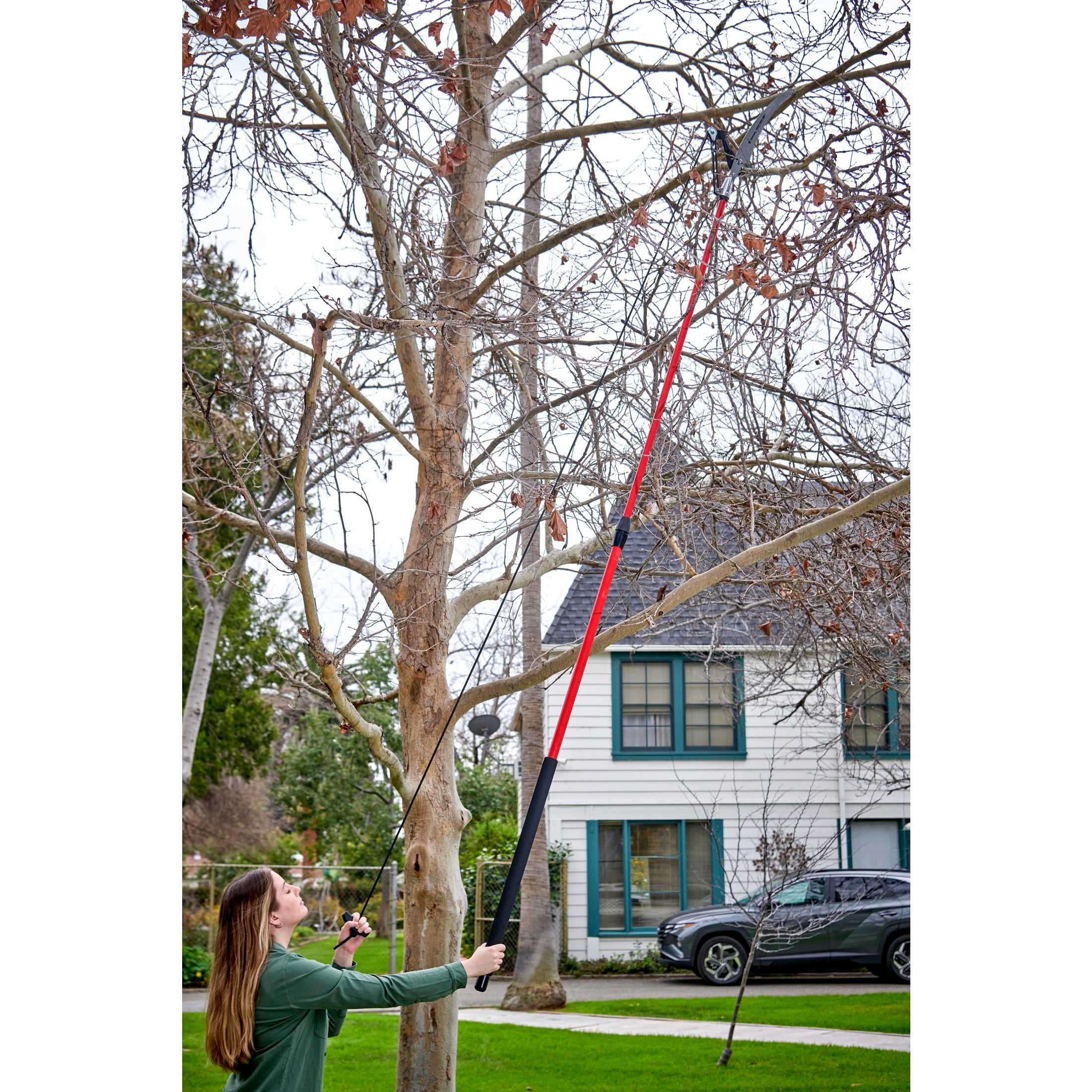 Dual Compound-Action Tree Pruner with RazorTOOTH Saw™ Blade, 12 ft.