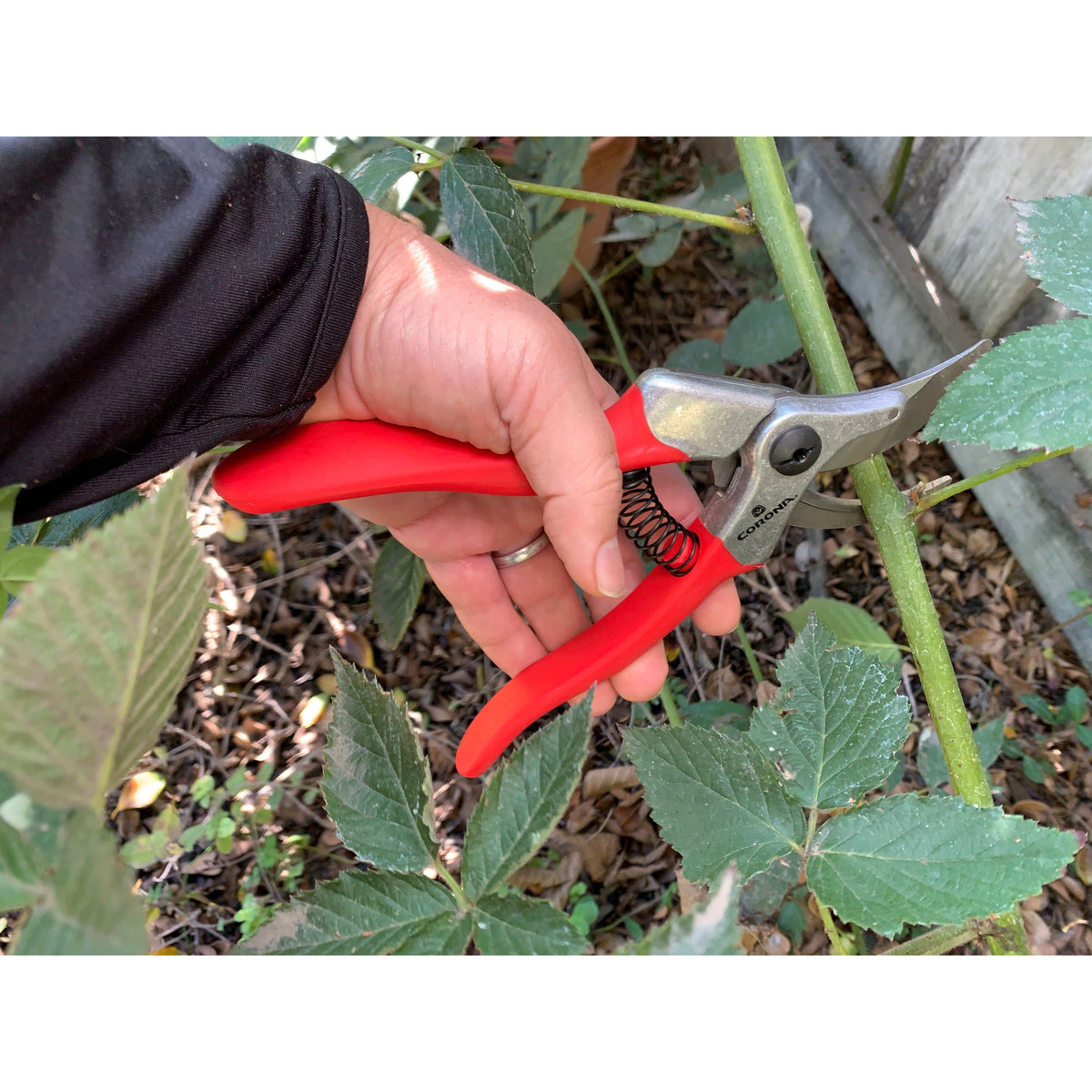 ErgoPRO Bypass Hand Pruner - 1 Inch | Corona Clipper Inc.