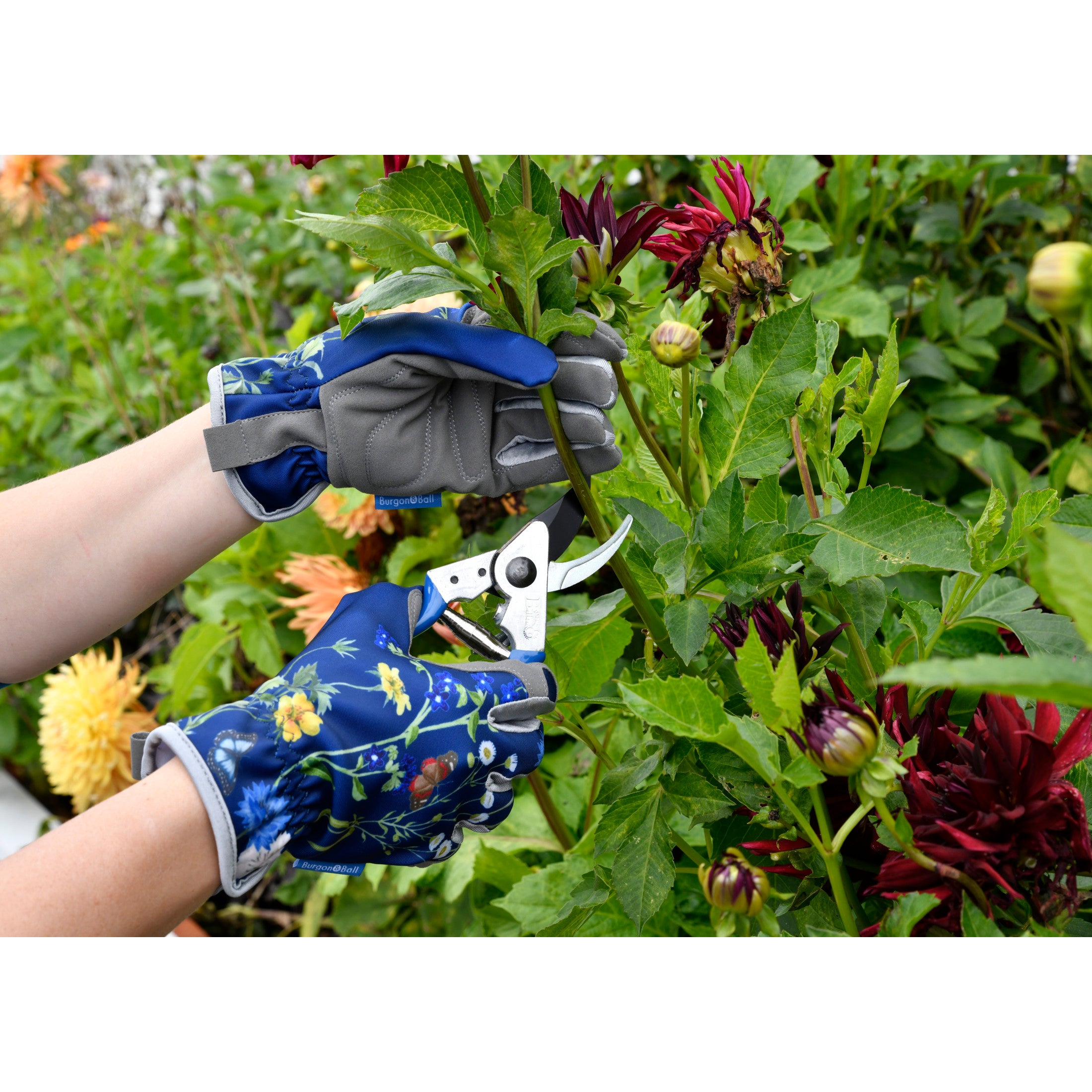 British Meadow Pruner & Holster Set, RHS Endorsed