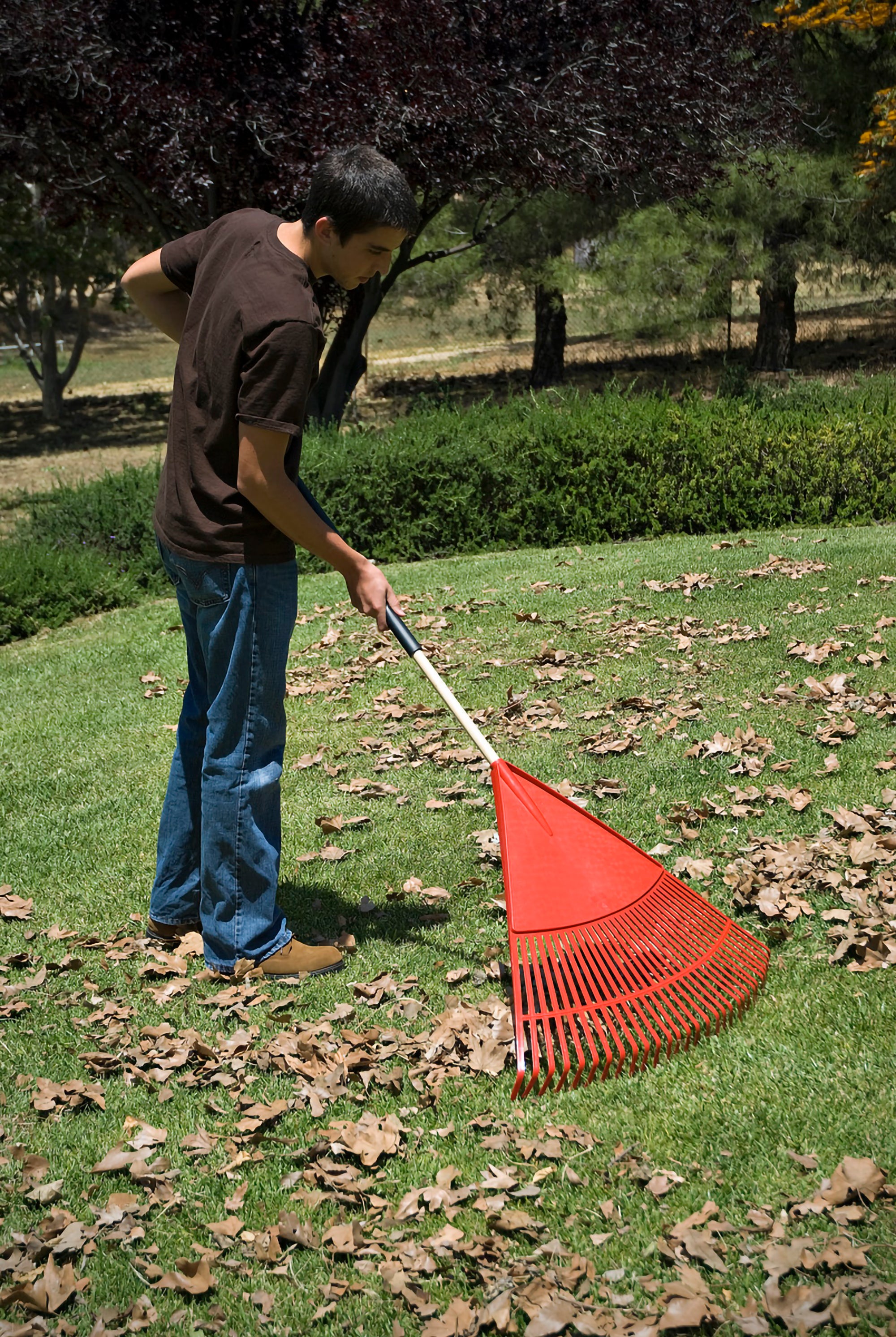 Poly Leaf Rake, 24 in. Head, 26 Tines, Wood Handle