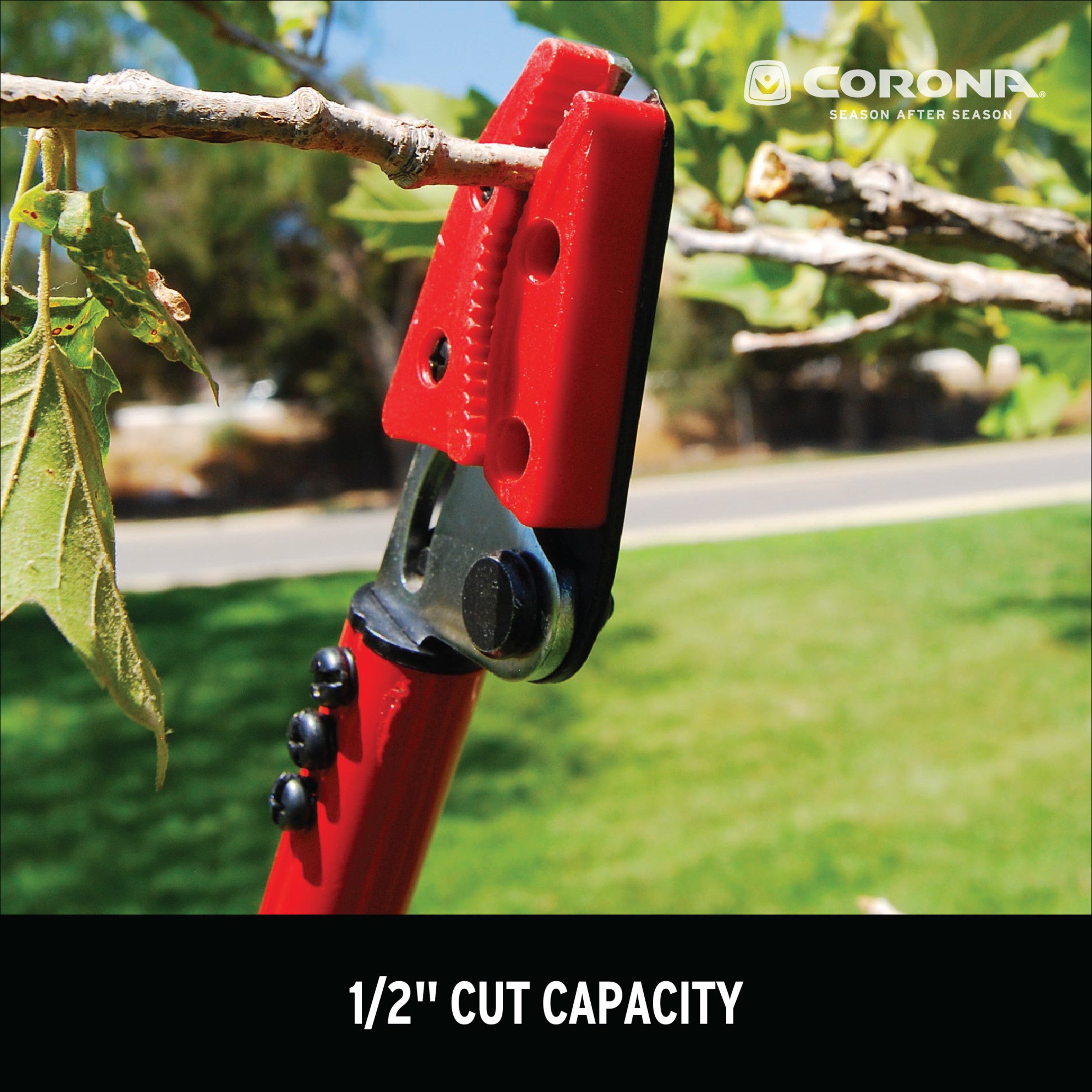 Cut 'n' HOLD Long Reach Bypass Pruner, 1/2 in. Cut Capacity