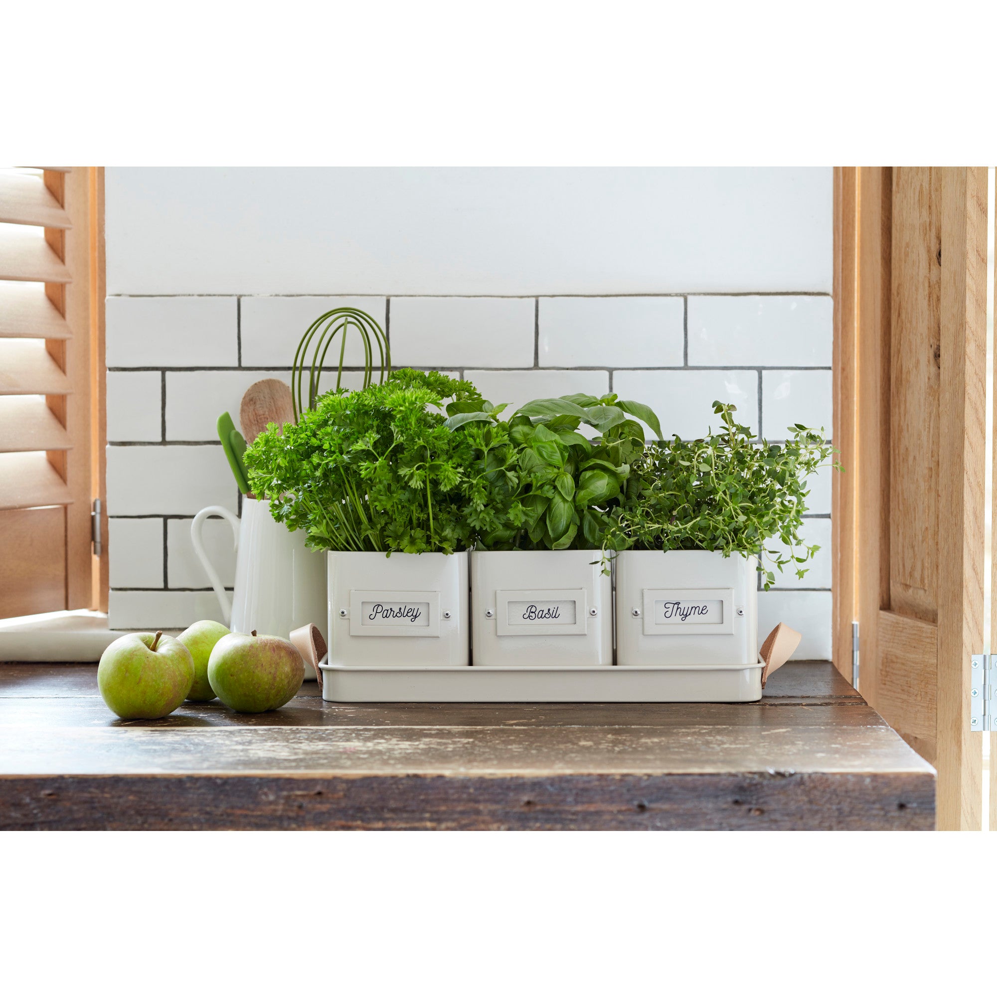 3 Herb Pots with Leather Handled Tray, Stone