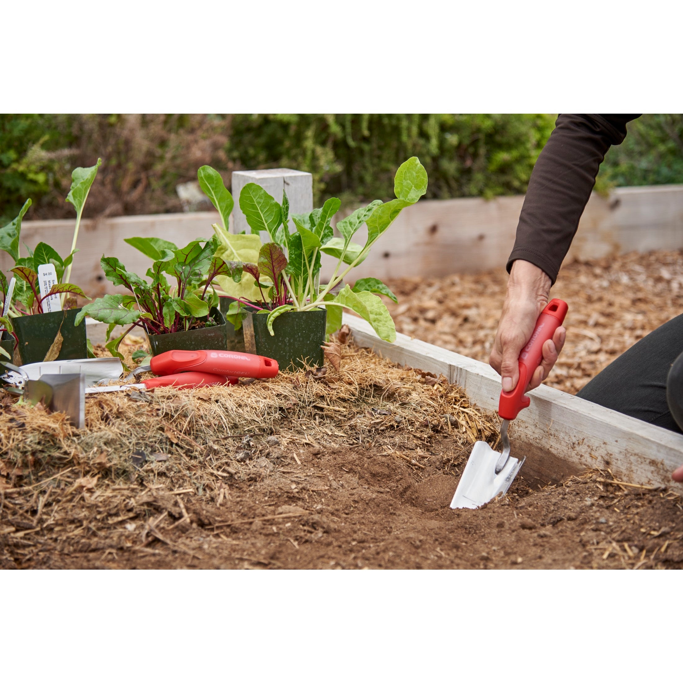 ComfortGEL® Trowel Premium Stainless Steel | Corona Clipper Inc.