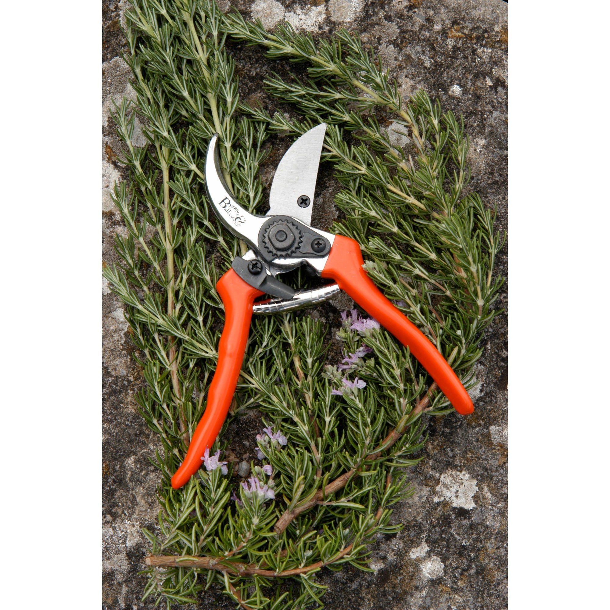 Bypass Pruner, with Replacement Blade & Spring, RHS Endorsed