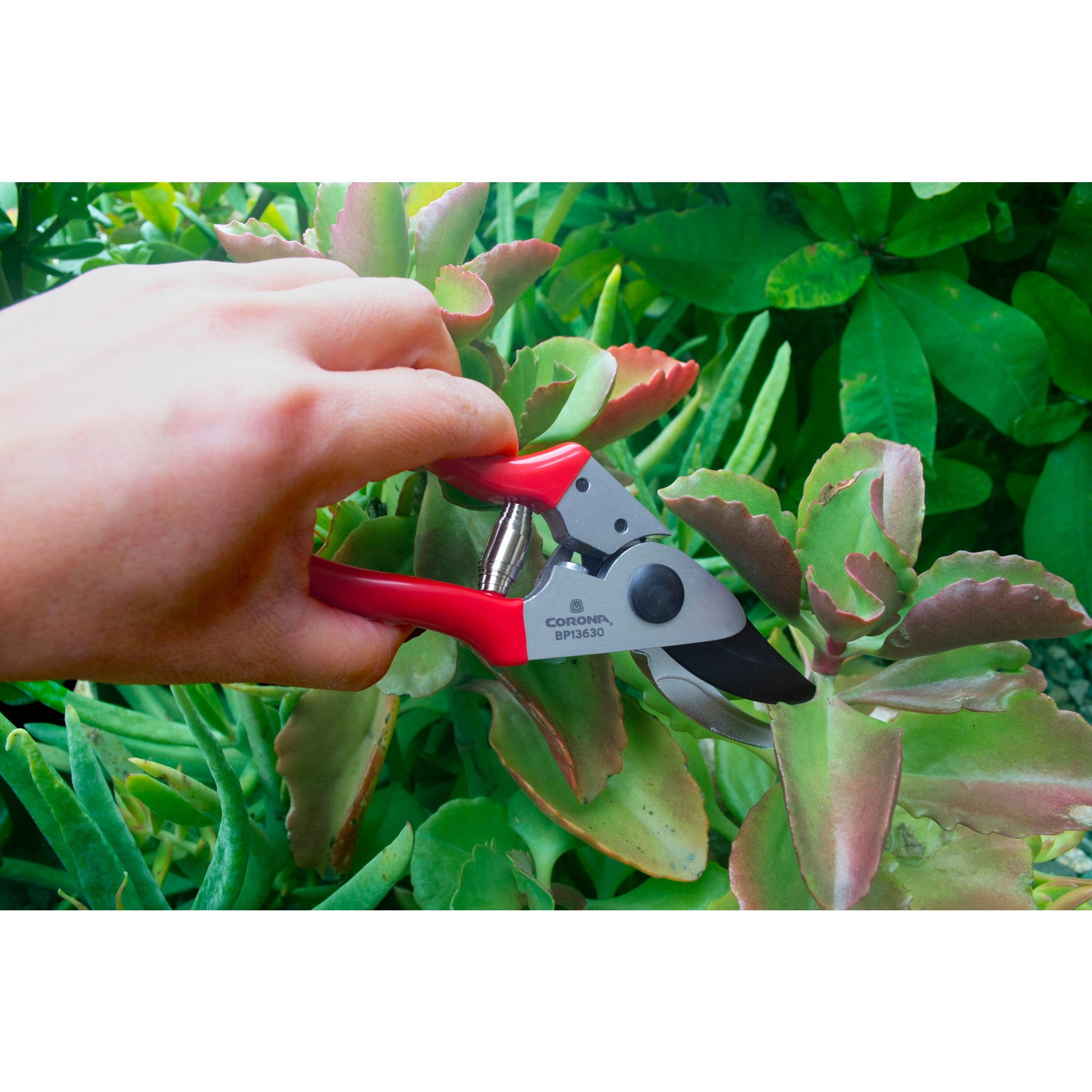 Yard Essentials Pocket Pruner