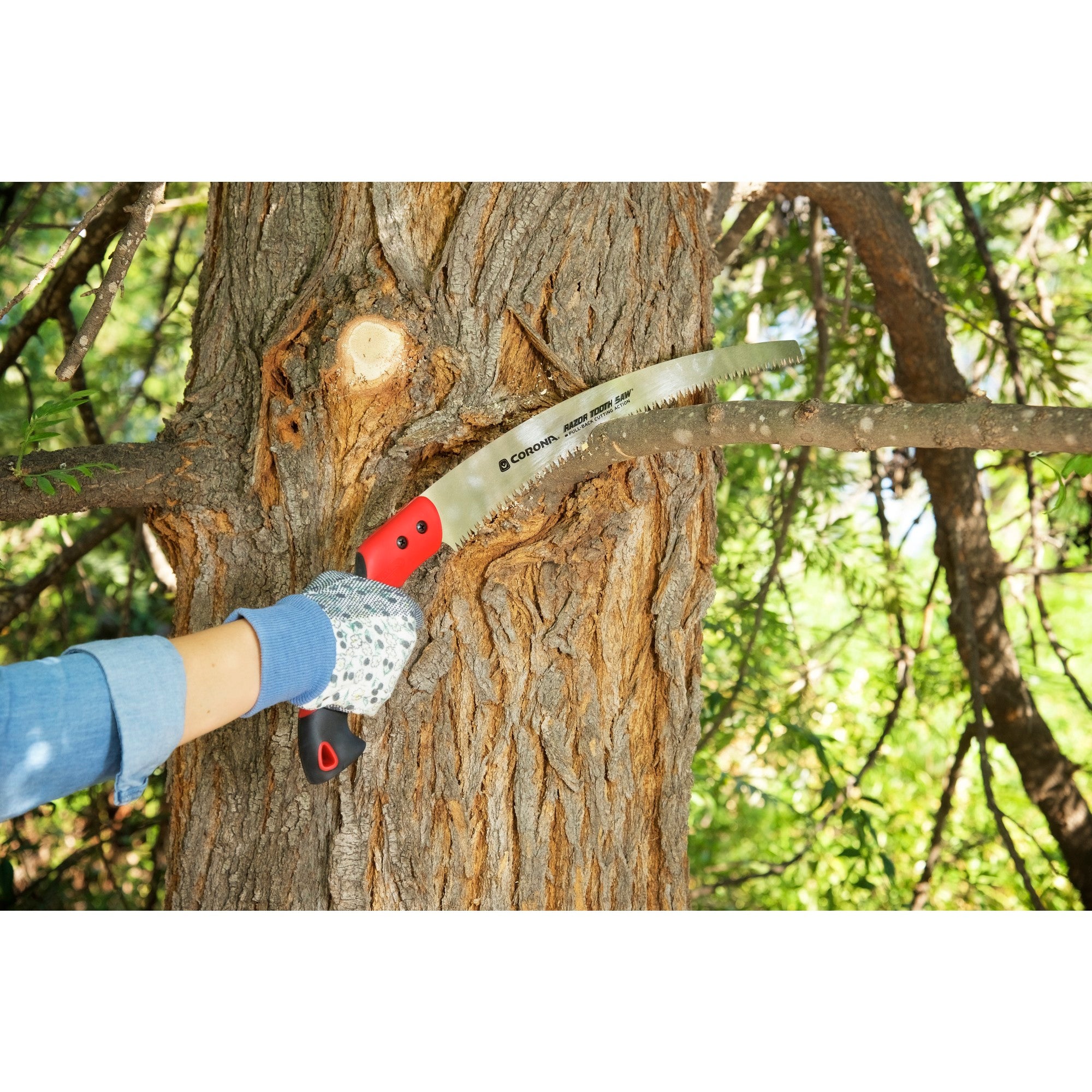 RazorTOOTH Saw™ Pruning Saw, 14 in. Blade